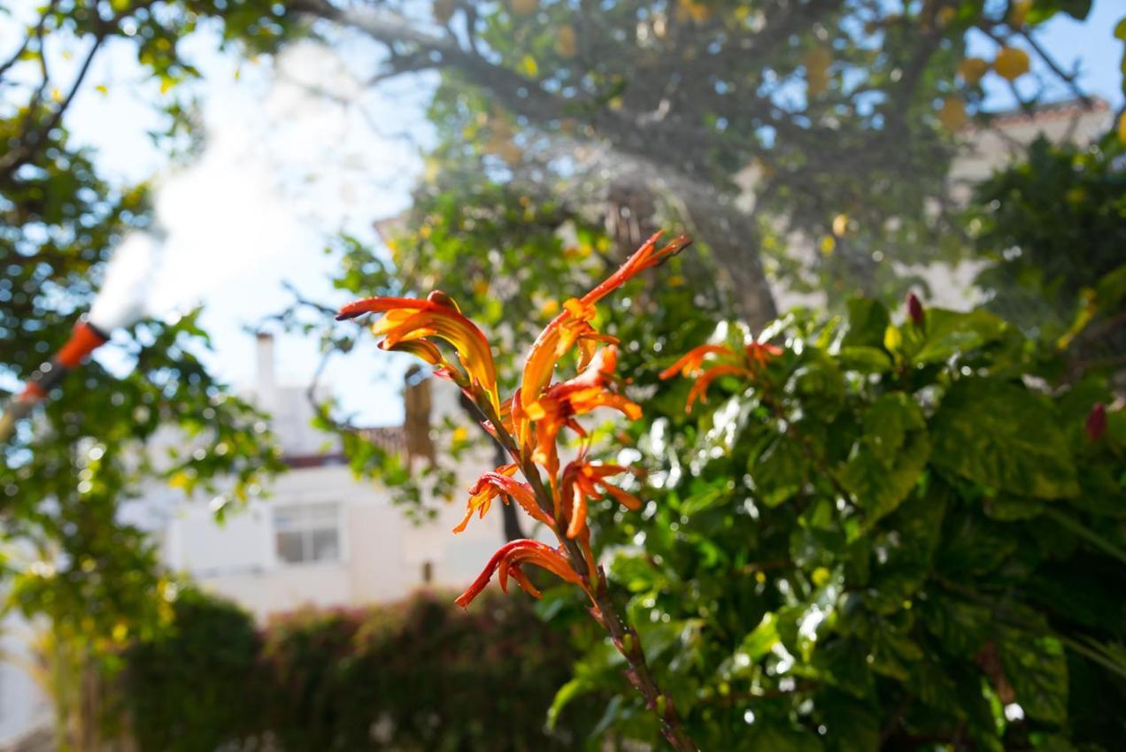 Flat With A Garden In Belem Apartment Lisbon Bagian luar foto