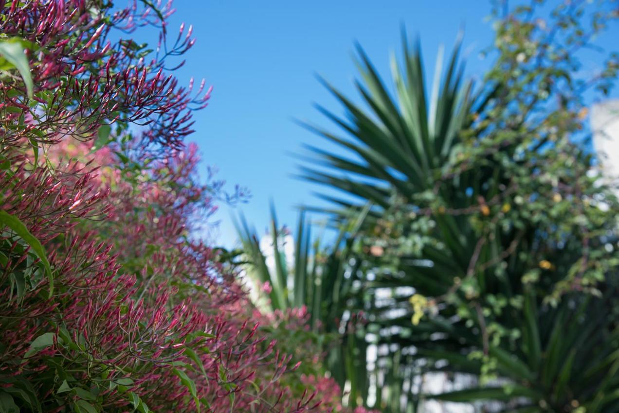 Flat With A Garden In Belem Apartment Lisbon Bagian luar foto